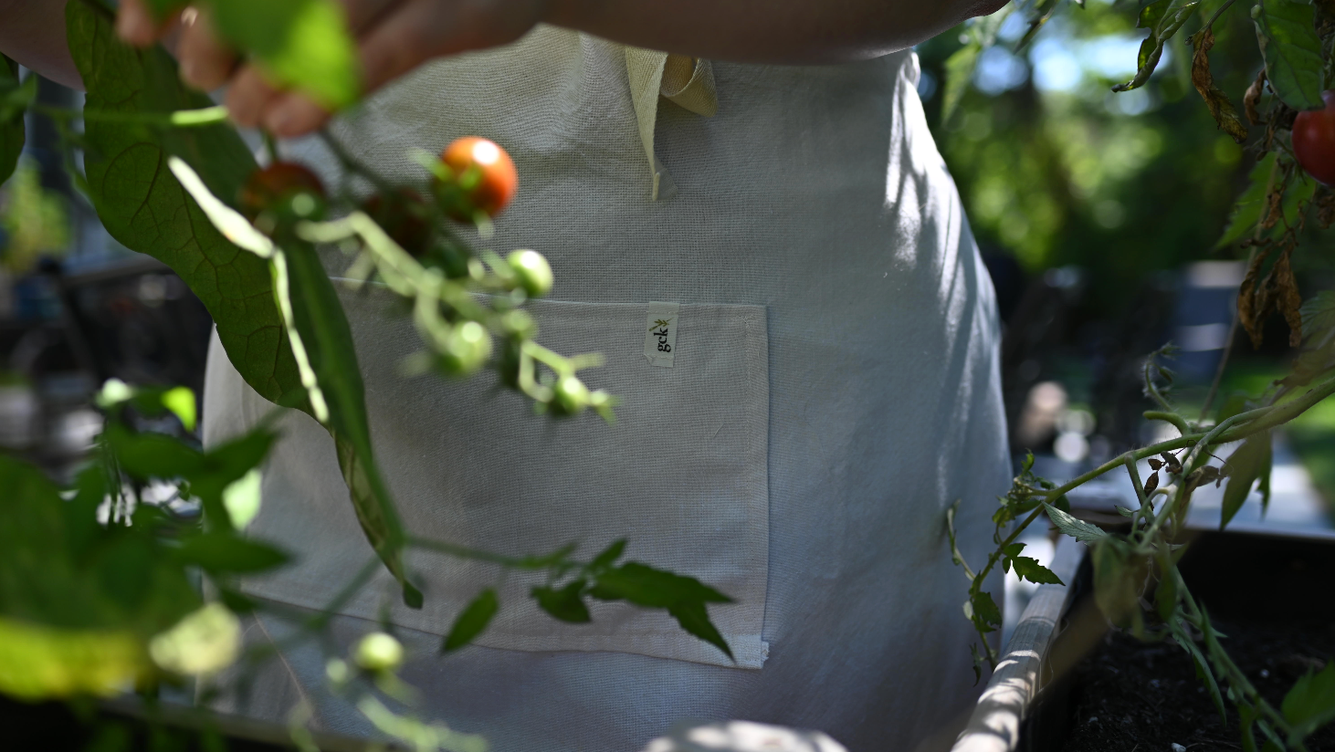 Batch No. 01  - The First Gather